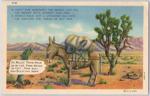 1934 Linen Postcard, Comic Prospector Donkey "10 Feet From Hell", Arizona View - Picture 1 of 2
