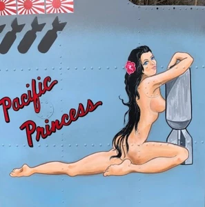 Hand-Painted Nose Art Panel on Riveted Aircraft Aluminum, WWII Aviation NAP-0153 - Picture 1 of 6