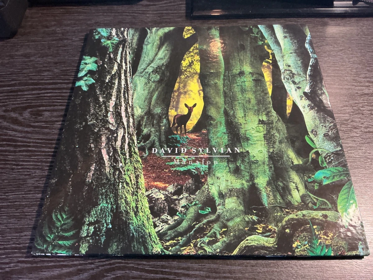 David Sylvian Manafon 180g Vinyl レコード David Sylvian vinyl