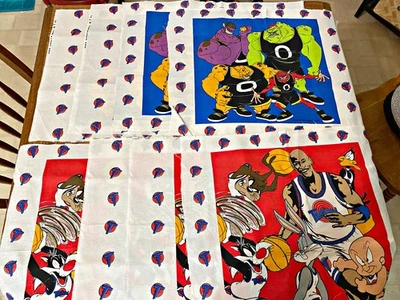 Michael Jordan Space Jam 1996 Warner Bros panel de tela baloncesto Looney Tunes Foto 1 de 3