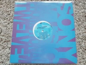 12" LP Disco Vinyl Gloria Estefan - Mi tierra UK PROMO - Picture 1 of 1