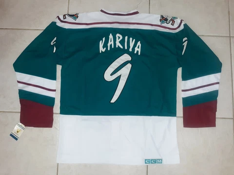 PAUL KARIYA ANAHEIM MIGHTY DUCKS 1995-96 "WILD WING" ALTERNATE CCM THROWBACK Cover