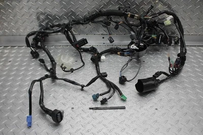 2024 KAWASAKI NINJA EX500 ABS ARNÉS DE CABLEADO MOTOR TELAR DE CABLE Foto 1 de 4