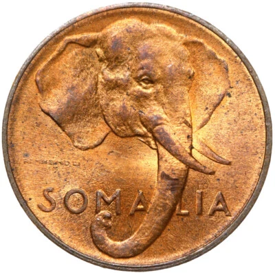 Somalia - Coin - 1 Centesimo 1950 Rome - Elephant - RARE - Uncirculated UNC - Image 1 of 2