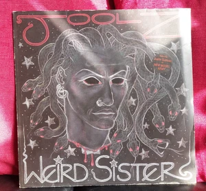 Joolz – Weird Sister Vinyl LP Album 33RPM 1991 - Imagen 1 de 5
