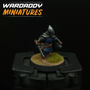 Pro Painted Warhammer Lotr Pippin In Gondor Armour OOP Games Workshop MESBG - Picture 1 of 4