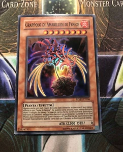 *** PHOENIXIAN CLUSTER AMARYLLIS *** (ITALIAN) SUPER RARE  RGBT-EN006 YUGIOH! - Picture 1 of 3