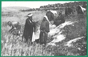 Palestina Belén Campo de Booz representa al pueblo palestino postal antigua - Imagen 1 de 2