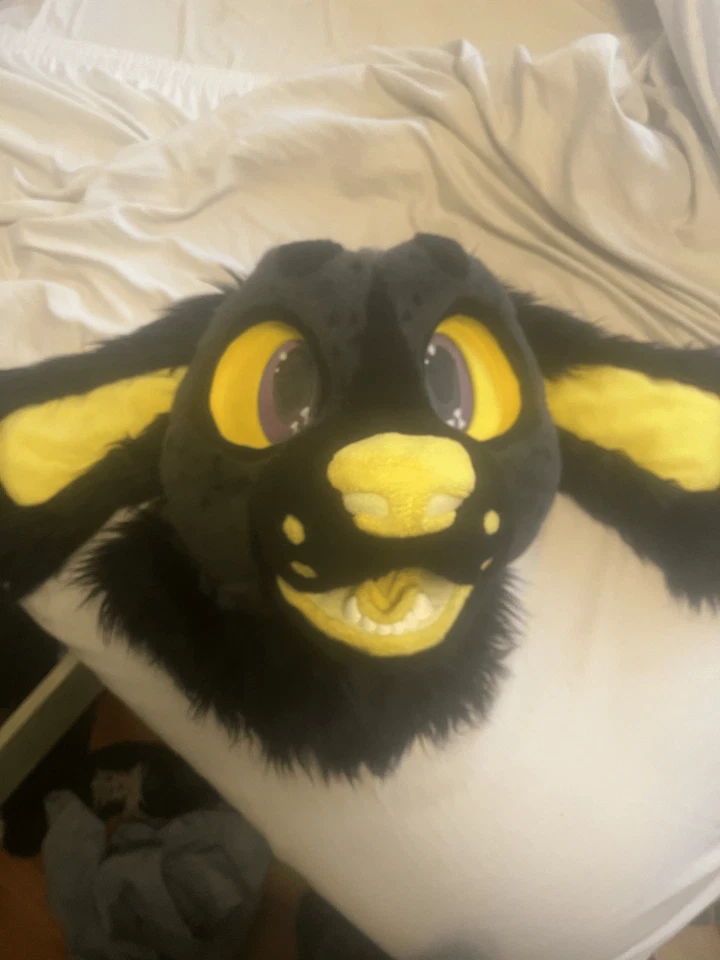 Cabeza de fursuit Bone Dog prefabricada por Soarin Saber Studios. Foto 1 de 4