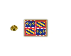 pins pin badge pin's metal broche pince papillon drapeau bourgogne france - Picture 1 of 1