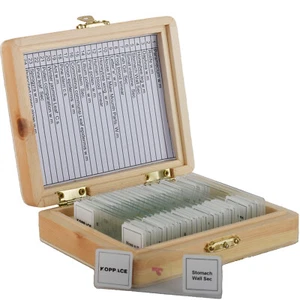 KOPPACE 25 Stück biologische Gewebeplättchen für Bildungsmikroskop biologisch - Bild 1 von 6