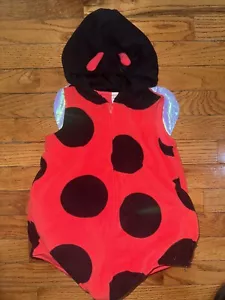 Ladybug Halloweeen Custom - Picture 1 of 4