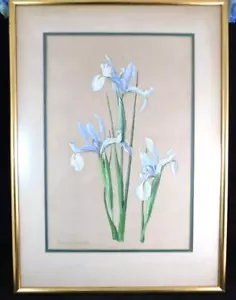 Pintura de flores de iris original enmarcada por artista Primrose Gerrard Pennsylvania - Imagen 1 de 12