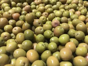 OLIVE DI GAETA BIANCA ORIGINALI ACQUA E SALE DOP PER ANTIPASTO APERITIVO FESTA - Foto 1 di 1