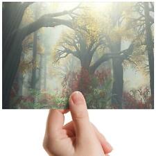 Mystical Forest Gloomy Nature Small Photograph 6"x4" Art Print Photo Gift #16974