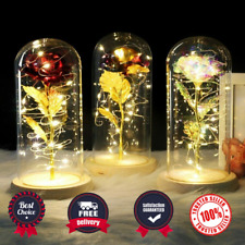 Beauty And The Beast Enchanted Rose in a Glass Dome LED Light Lamp Decor Gift