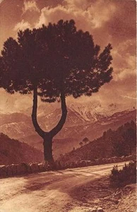 CPA 20 CORSE ROUTE DE SARTENE A CORTE - Picture 1 of 1