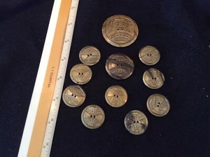 Vintage Antique Matched Set of 12 Celluloid CLOTHING BUTTONS great condition - Picture 1 of 4
