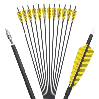 30'' ID6.2mm Archery Carbon Arrows SP500 4" Turkey Feathers Bow Hunting Target - Image 1 of 4