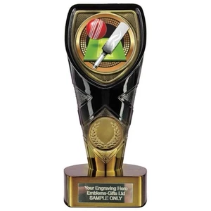 Cricket Pitch Award (FC2) 150mm Trophäe graviert gratis - Bild 1 von 3