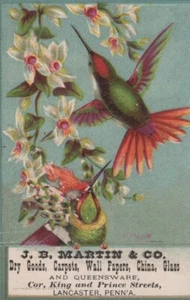 Humming Birds Dry Good Merchant J.B. Martin Lancaster Pa ANTIQUE TRADE CARD A3D - Picture 1 of 2
