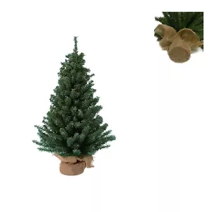 12 Miniature Pine Tree - Picture 1 of 3