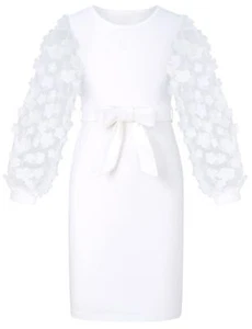 Girls Puff Long Sleeve Dresses Lantern Mesh Sheer Sleeves Pencil Dress Formal... - Picture 1 of 6