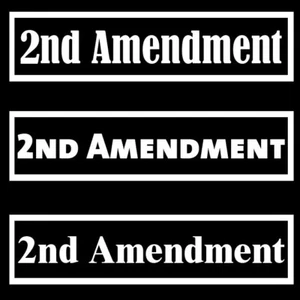 2nd Amendment United States Constitution Molon Labe Gun Rights Vinyl Decal - Bild 1 von 8