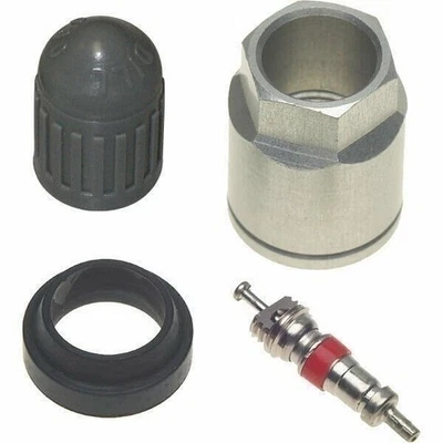 Kit de servicio de vástago de válvula sensor TPMS Dill 1060K para sensores Ford Foto 1 de 4