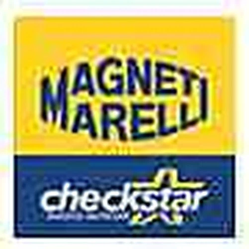 MAGNETI MARELLI 940113190060 Balais alternateur