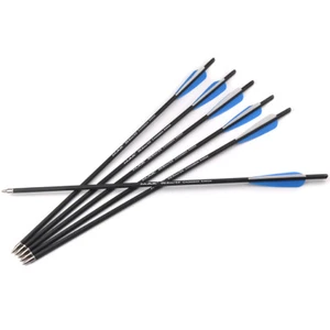 6pcs 22" Mixed Carbon Arrow Practice Archery Target Shooting For Bow Hunting - Bild 1 von 12