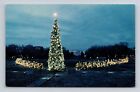 Exposition arbre de Noël Washington D.C. 1969 à la Maison Blanche, carte postale vintage