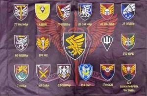 Bandera de las Fuerzas de Asalto Aéreo de Ucrania - Emblemas de Unidades Militares DShV - 90x60 cm - Imagen 1 de 1