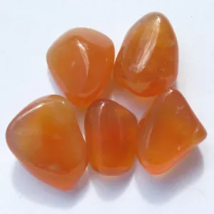 CARNELIAN Crystal Healing Polished Natural Orange Gemstone Tumbled 5pc LOT - Picture 1 of 5