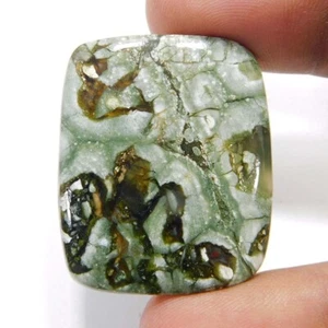 36.30Cts. Natural Unique Rainforest Rhyolite Cushion Cabochon Loose Gemstone - Picture 1 of 3