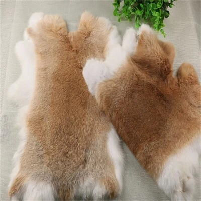 2 piezas Piel de conejo real natural piel de cuero esponjoso hágalo usted mismo ropa costura tela decoración Foto 1 de 4