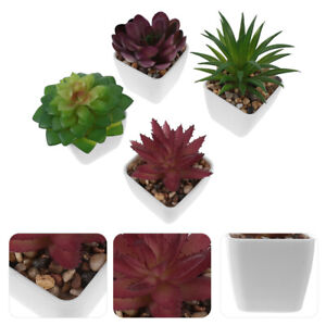  4 Pcs Mini Potted Plant Plants Artificial Succulent Small Aloe Vera