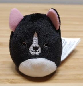 Squishmallows Squishville 2 Zoll George Puppy Love Squad Boston Terrier Hund Plüsch - Bild 1 von 2