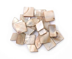 Shell Beads:Mix 4 Asstd Style: Bone - Pack of 24 - CF01\88442 The Craft Factory - Picture 1 of 1