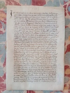 Manoscritto pergamena secolo XVI 1565 - Picture 1 of 19