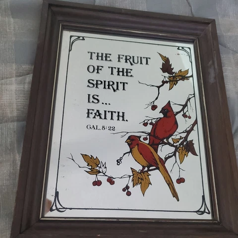 Vtg MCM CARDINAL BIRD MIRROR REVERSED PAINTING WOOD Frame Gal.5:22 Faith Prayer Cover