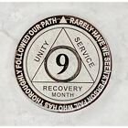 9 Month Alcoholics Anonymous Medallion White Silver Plated AA Sobriety Chip Coin