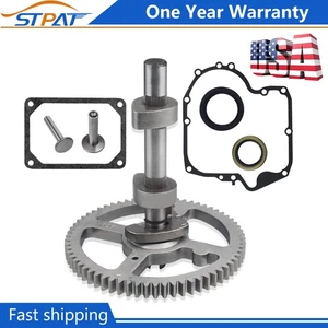 Kit de árbol de levas para Briggs & Stratton 793880 84005207 con junta y sello de aceite NUEVO - Imagen 1 de 11