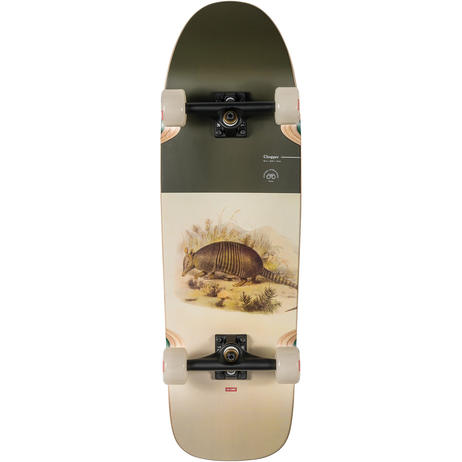 メーカー公式ショップ Globe Stubby Complete Skateboard On Shore Closeout 30 L X 10 W 16 25 W その他スケボー用品 Memorialhortolandia Com Br