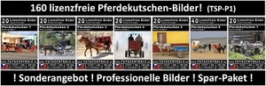 160 Lizenzfreie Profi-Bilder/Fotos - Pferdekutschen Pferde Kutschen - NP 133,- - Bild 1 von 8