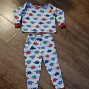 LOLLIDAYS 100% Cotton KIDS Girls Boys Dinosaur 2 Part Pyjama Set - Picture 1 of 4