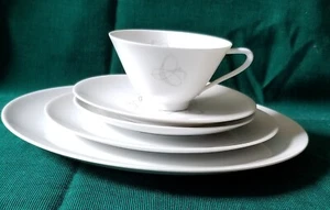 NEW HUTSCHENREUTHER SELB TREND 5-piece PLACE SETTING VERY GOOD BAVARIAN CHINA - Picture 1 of 17