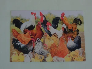 1x Postkarten Pat Scott Hühner - Kunst viele Küken Hennen Hahn Huhn Hühnerschar - Picture 1 of 2