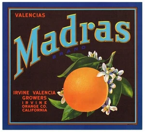 ORIGINAL 1930ER ORANGE COUNTY KISTENETIKETT IRVINE VINTAGE MADRAS GRAFIKDESIGN  - Bild 1 von 1