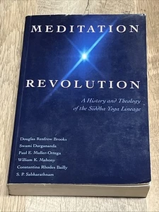 Meditation Revolution 1st Ed A History And Theology Of The Siddha Yoga Lineage - Imagen 1 de 8